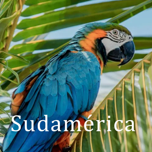 sudamerica2